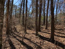 Lot 20 Cliffs at Keowee Road