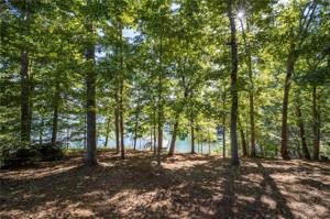 000 Treehaven Ct/ Lot 45 Waterford Pointe