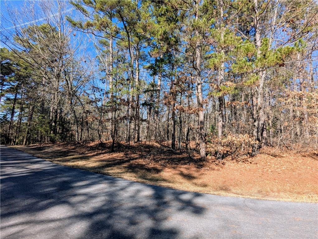 Image 3: Level Corner Lot