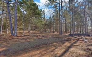 0 Carlota Way Lot C9