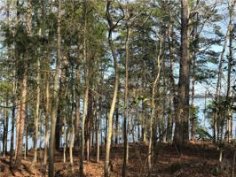 000 Reed Creek Highway Lot 7
