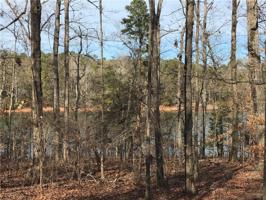 000 Reed Creek Highway Lot 11