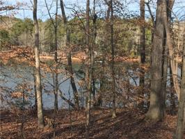 000 Reed Creek Highway Lot 12