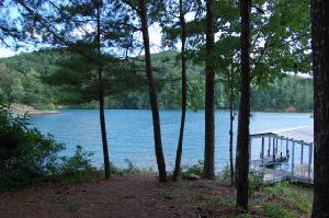 111 Wood Sage Ct