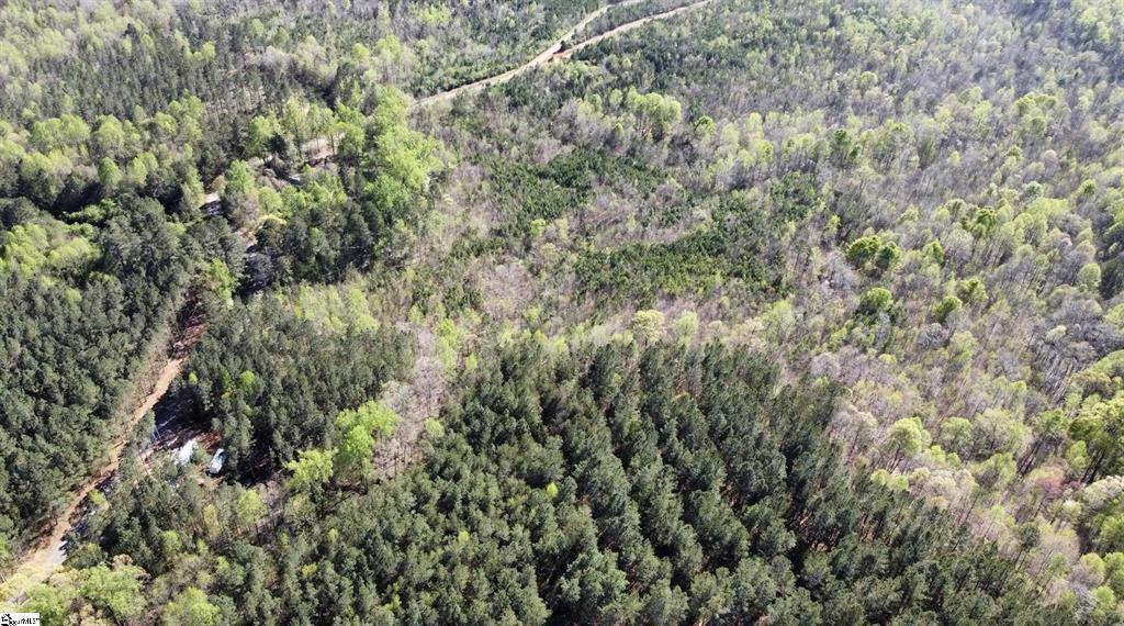 Image 4: Vast, verdant woodlands offer a private, undevelop