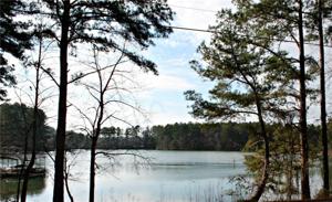 Lot 1 Serenity Drive