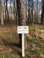 Lot 51 Peninsula Pointe/ Vista Pointe Dr