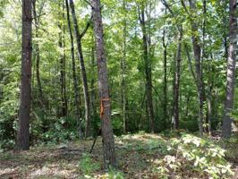 138 Eastatoe Parkway
