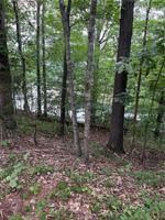 Lot 6 Gum Branch Circle