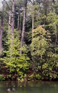 325 Evergreen Ridge Road