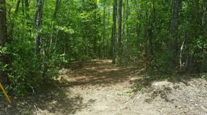 Lot 002 Bonner Road
