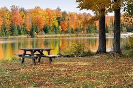 Image 2: Enjoy tranquil lakeside dining with nature's vibra