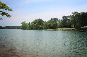Lot 14 Cottages at Riverbirch