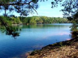 Lot 81 Peninsula Pointe South