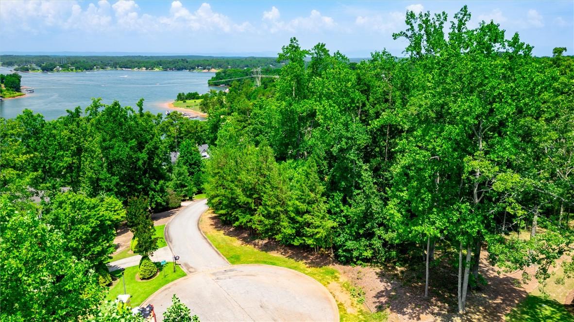 Image 3: A winding road descends through lush greenery towa