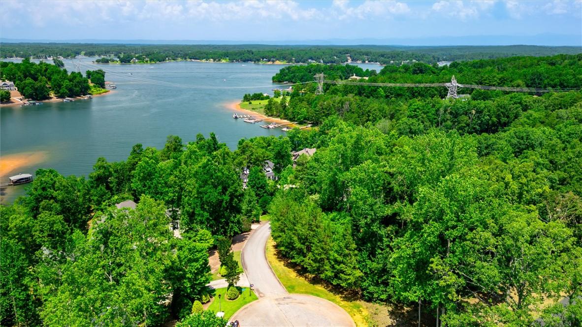 Image 4: A winding road descends through lush trees to reve