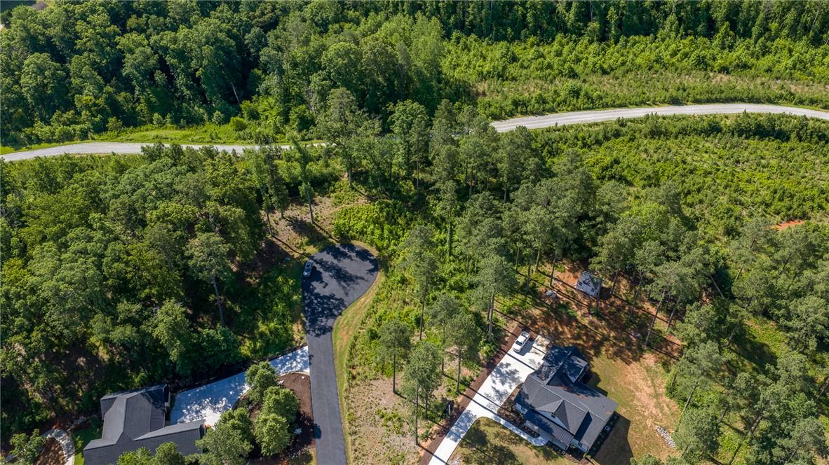 Image 4: An aerial perspective reveals a tranquil, tree-lin
