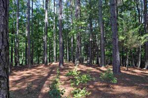 00 Deep Cove Point Lot A 92