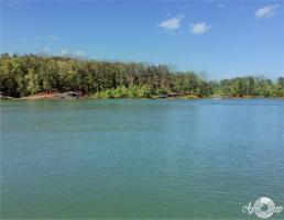Lot 62 Riverstone Road