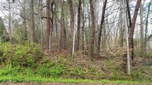 Lot 139 Delphi Drive
