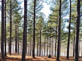 00 Mountain Vista Drive Lot 28