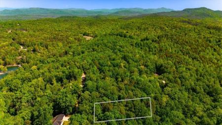 122 Summit Pine