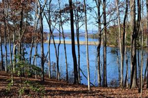 108 Wildfern Court