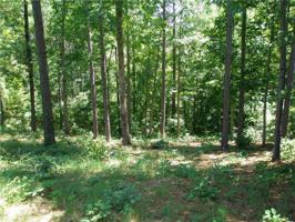 308 Eagle's Bend Trail