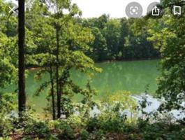42 Glassy Water Way