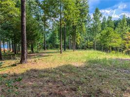 2-26 Cross Lake Trail