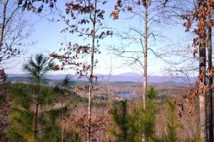 823 Cliffs Vista Parkway