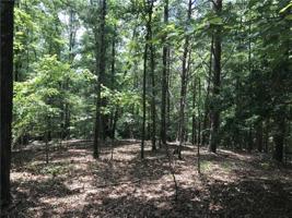 106 Wake Robin Drive