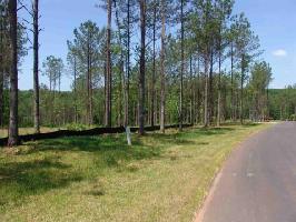 Lot 142 Peninsula Pointe S