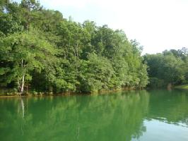 2.7 Acres Hunnicutt Cove Road