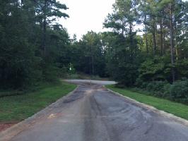 Lot 145 Nestling Pine Court