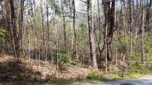 Lot 141 Delphi Drive