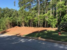 Lot 203 Waterford Point
