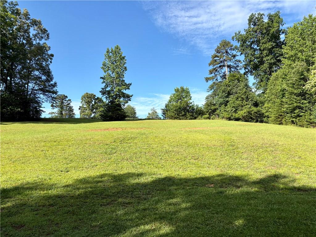 Image 4: A rolling green expanse surrounded by mature trees