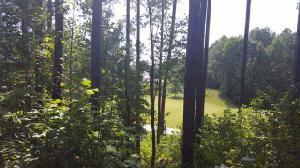 Lt E-79 The Reserve