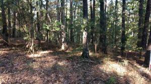 Lot 2 Jocassee Falls