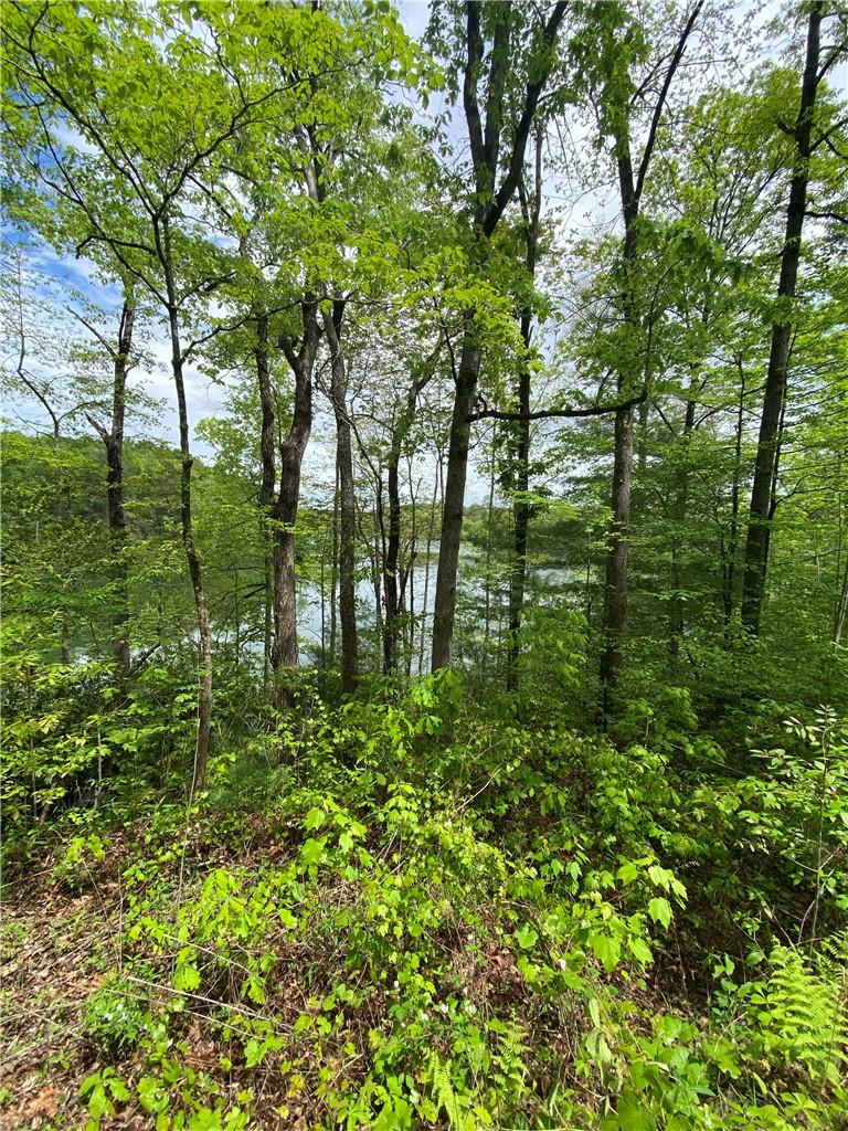 Image 3: A tranquil wooded lot offers glimpses of a peacefu