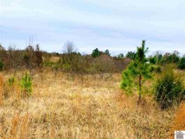 000 East Unity Church Road
