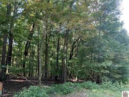 21 Woodland Acres #1