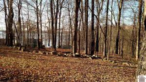 Lot 65 Rolling Mill Road
