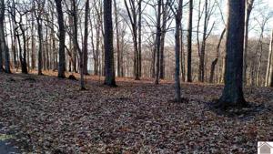lot 66 Rolling Mill Road