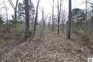 00 Deepwood Dr, Lot 199