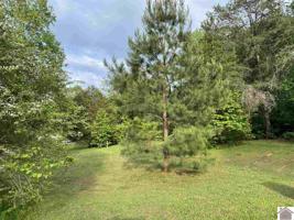 115 Redwood Drive