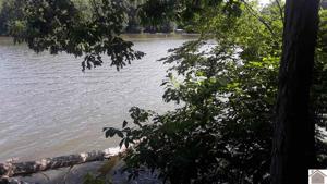 Lot 141 Goose Creek Dr.