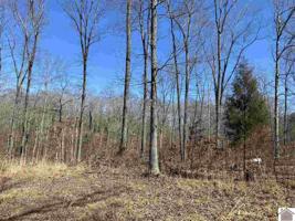 Lots 118, 119 Ledbetter Shores Subdivision