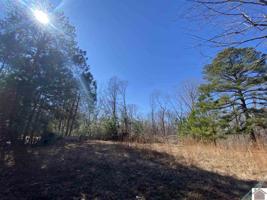 Lot 113,114,115 Ledbetter Shores Subdivision